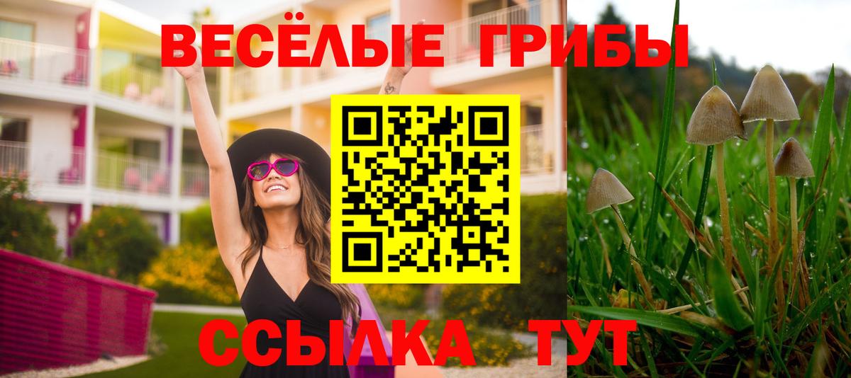Псилоцибиновые грибы прущие грибы Азнакаево