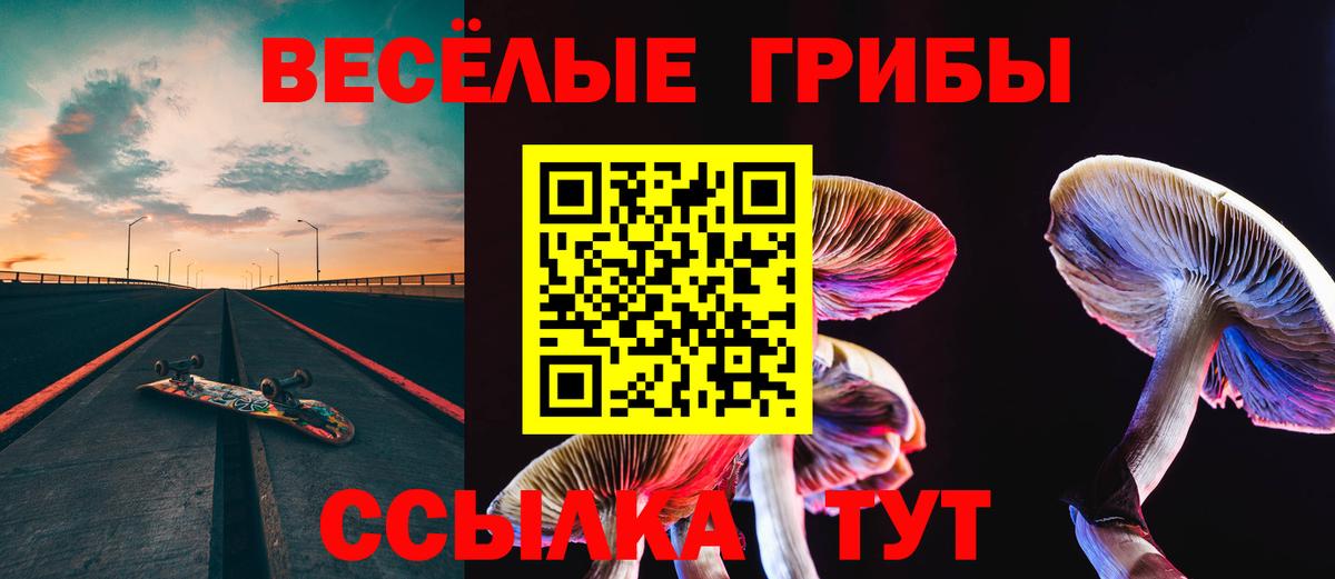 где купить   Галлюциногенные грибы GOLDEN TEACHER  Галлюциногенные грибы GOLDEN TEACHER  Вход с VPN  Азнакаево 
